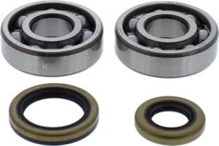 All Balls Krukaslager Set 24-1119