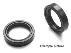 Centauro Voorvorkkeerring Set 41.7X55X10/10.5